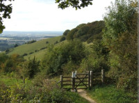 Aston Rowant Nature Reserve