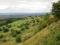 Bredon Hill