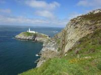 RSPB South Stack