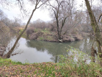 Kotvice Nature Reserve