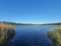 Kyrksjön