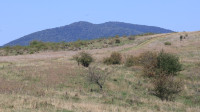 Vršac Mountains