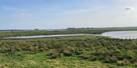 Gemaal Zuidlaardermeer