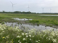 Het Broek bij Waardenburg