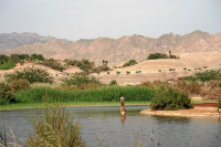 Eilat Birding Center