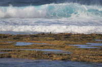 Foreshore from Kingston Jetty to Slaughter Bay