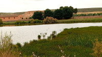 Lagunas de Corral-Rubio