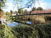 Jardín Botánico de Castilla La Mancha