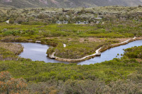 Wilsons Promontory NP - Tidal River