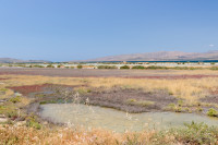 Polichnitos saltpans