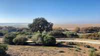 Laguna de Fuente de Piedra