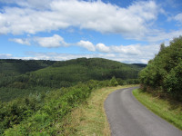 Cwmcarn Forest