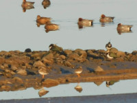 Glasson Dock