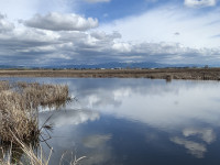 Coyote Hills Regional Park