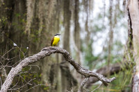 Santa Ana National Wildlife Refuge