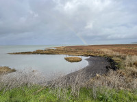 Landfill Loop Trail & Wildcat Marsh