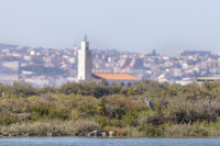 Baía do Montijo