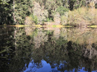 Jewel Lake - Tilden Nature Area