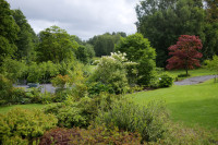 Treborth Botanic Gardens