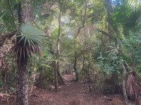 Jardín Botánico Dr. Alfredo Barrera Marín