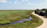 Edwin B. Forsythe National Wildlife Refuge