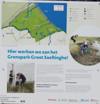 Hedwigepolder