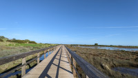 Ria Formosa Ecovia Extension