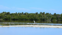 Salines d'Orient