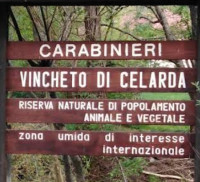 Riserva Naturale Vincheto di Celarda