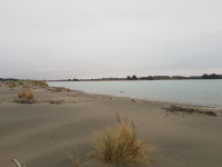 Ashley River Estuary