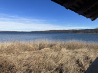 Vogelfreistätte Ammersee-Südufer