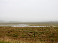 Shotton Pools