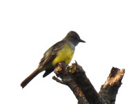 Jamaica Bay National Wildlife Refuge