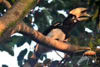 Chitwan National Park