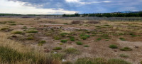 Nestos National Park - Mandra Beach