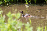 Oostpolder en Onnerpolder