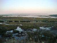 Amvrakikos Wetlands NP - Rodia and Tsoukalio Lagoons