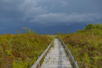 Kobuleti Managed Reserve