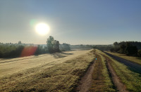 Pločica Marsh