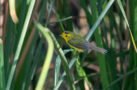 Ken Malloy Harbor Regional Park