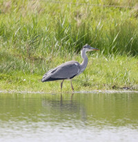 Kleiner Binnensee