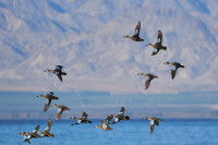 Salton Sea SRA Headquarters