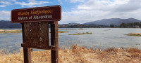 Alexandros Salt Pans