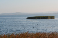 Rogojești Lake