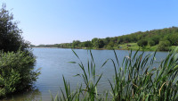 Lake Bruje