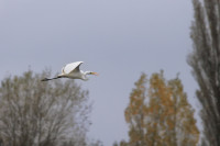 Noordpolder van Ossendrecht