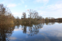 Annateich im Hermann-Löns-Park