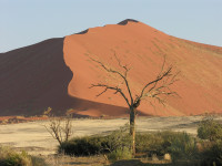 Sossusvlei