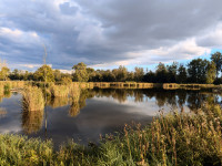 Marais de Misery