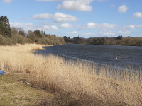 Forfar Loch